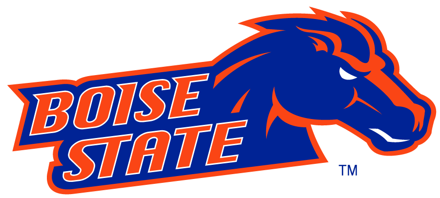 Boise State Broncos 2002-2012 Secondary Logo v9 diy iron on heat transfer